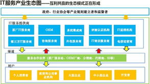 信息系统集成服务转型 以全生命周期管理反客为主，催生市场反哺效应